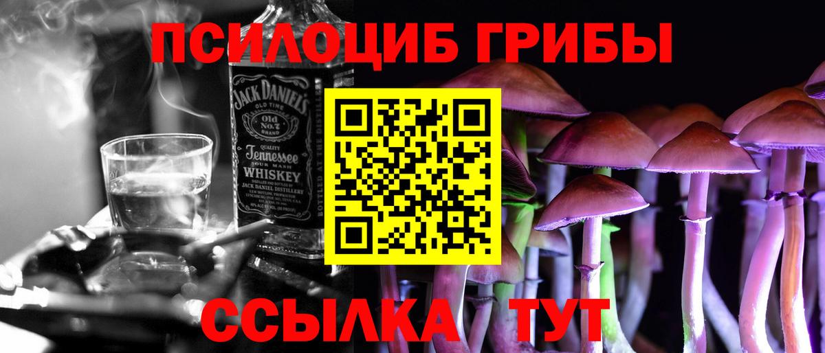 Кинель  Псилоцибиновые грибы мухоморы  цены наркотик  Псилоцибиновые грибы Psilocybine cubensis  Вход с VPN 