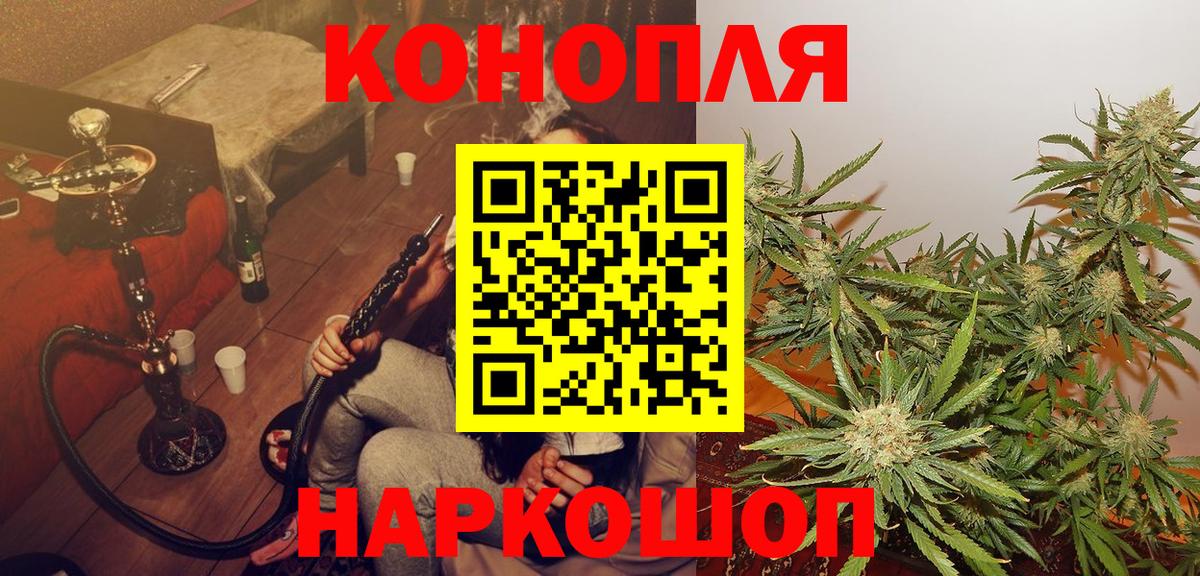 Марихуана план  Каннабис сатива  Вход с VPN  Кинель  Конопля конопля 